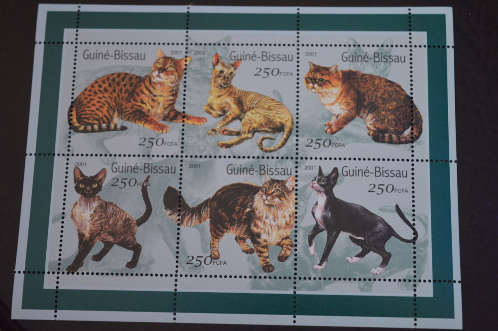 Гвинея. Фауна. Блок. 2015 год (В-7) Полтава - изображение 1
