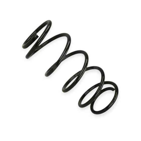 Пружина Opel Astra F 1.4-1.6i (91-05) передняя Мукачево