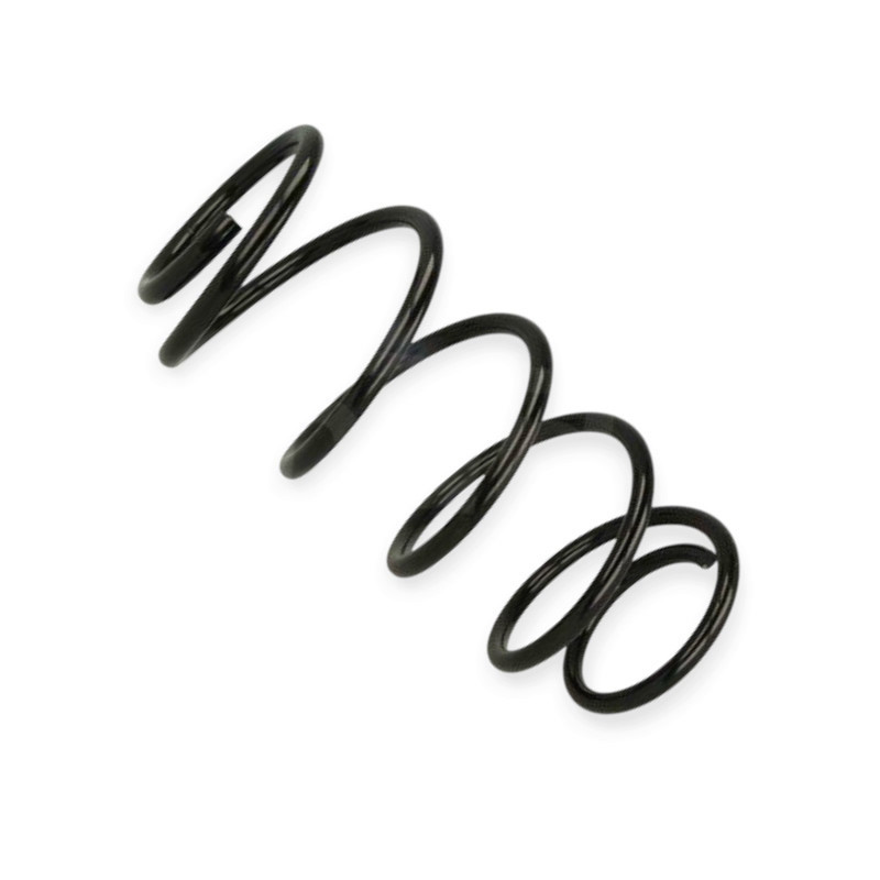 Пружина Opel Astra F 1.4-1.6i (91-05) передняя Мукачево - изображение 1