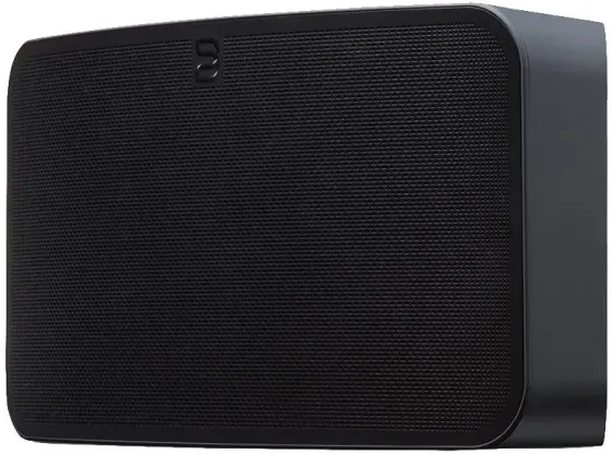 Портативная колонка Bluesound PULSE MINI 2i czarny Киев