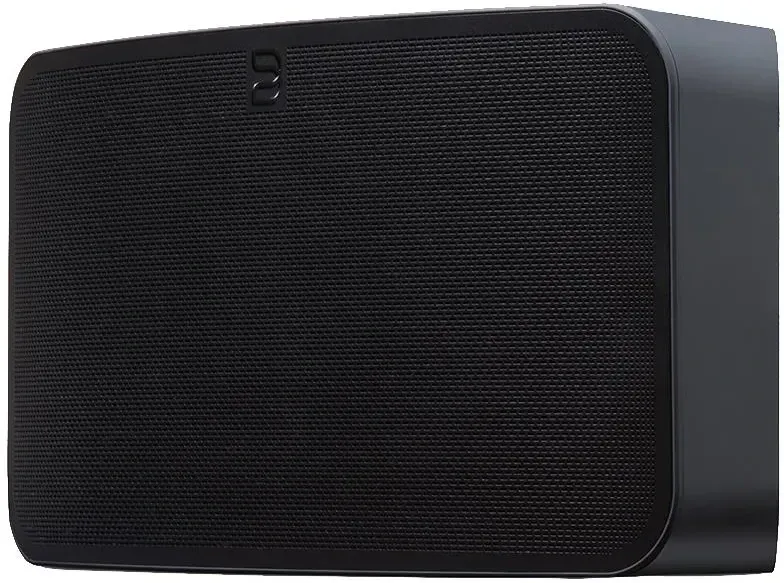 Портативна колонка Bluesound PULSE MINI 2i czarny Київ - фото 1