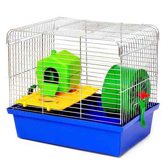 Декоративна клітка Хом'як 1 Люкс для гризунів з барабаном, тунелем та поличками (33 х 23 х 29 см), Лорі Київ