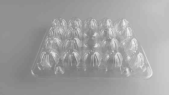 Упаковка для перепелиных яиц 18 ячеек (Квадратная) ПРОЗРАЧНАЯ (50 шт) Харьков