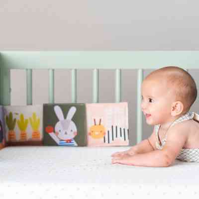 Розвиваюча іграшка Taf Toys книжка-розкладушка колеції Садочок у місті – Зайчики (13065) Вінниця