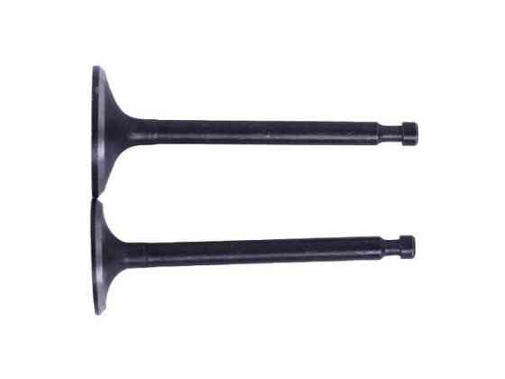 Клапани на бензиновий двигун 188F, к-т: 2 шт. Мукачево