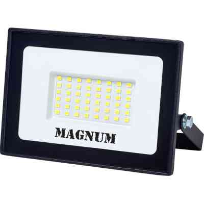 Прожектор MAGNUM FL12 ECO LED 50Вт slim 6500К IP65 (90018085) Вінниця
