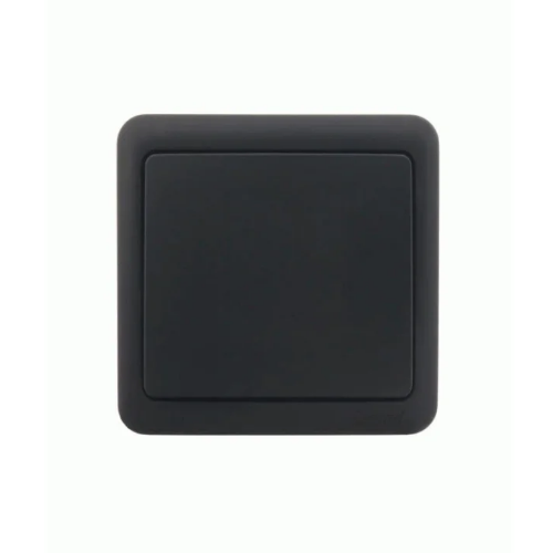 VIOLA антрацит Вимикач зовнішній Лезард Житомир - изображение 3