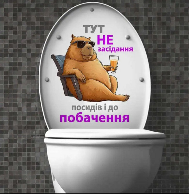 Наклейка на унітаз 26 на 20 см різнобарвний Київ - фото 3