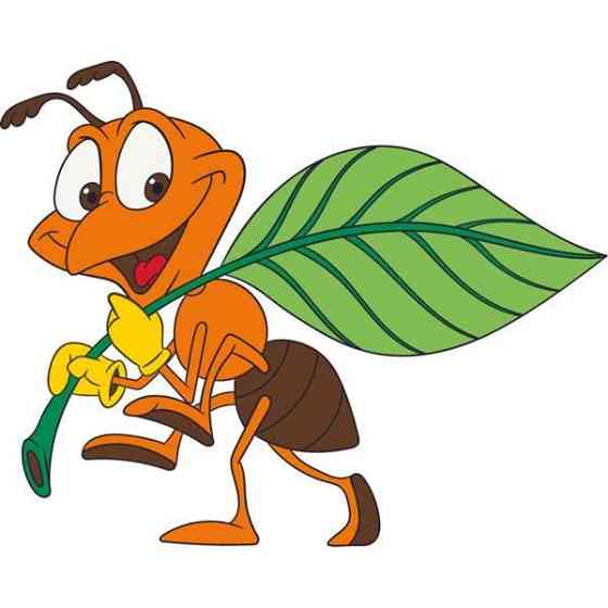 Дитяча розмальовка ArtCraft Мураха 25х30 см (15044-AC) Харьков