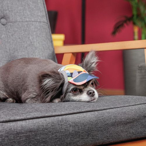 Кепка Tony ТМ Pet Fashion для собак L Київ - фото 3