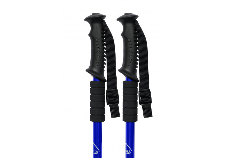 Палиця для скандинавської ходьби EasyFit Energia синя Коломия - фото 4