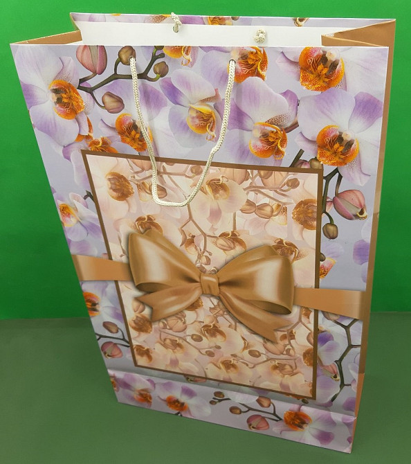 Пакет бумажный гигант вертиркальный (30х42х12)(артGV-064) (12 шт) Харьков - изображение 1