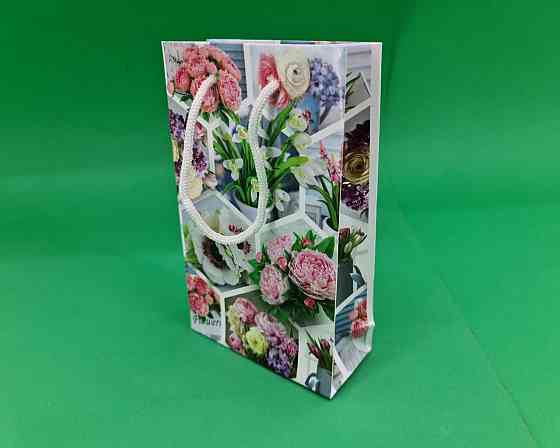 Пакет паперовий подарунковий малий 11/18/5 (арт М038) (12 шт.) Харків