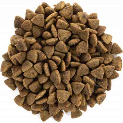 Сухий корм для кішок Brit Care Cat GF Adult Activity Support 7 кг (8595602540815) Вінниця