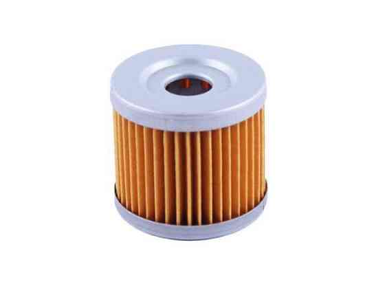 Фільтрувальний елемент на бензиновий двигун CG300 Мукачево