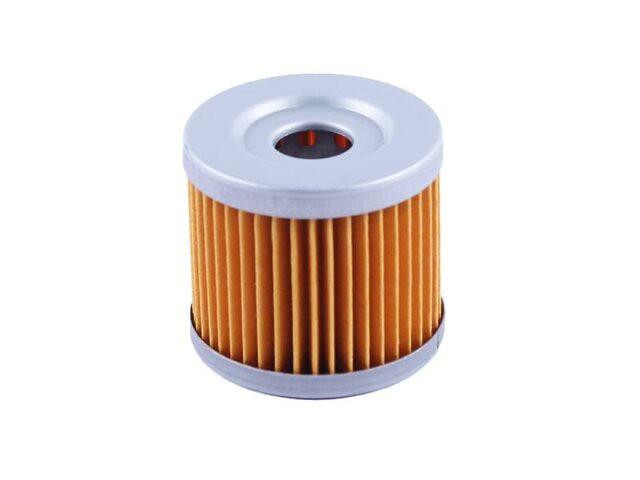 Фільтрувальний елемент на бензиновий двигун CG300 Мукачево - фото 1