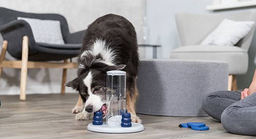 Інтерактивна гра з кормом для собак Trixie Dog Activity Gambling Tower (Тріксі) 25х27 см Запоріжжя