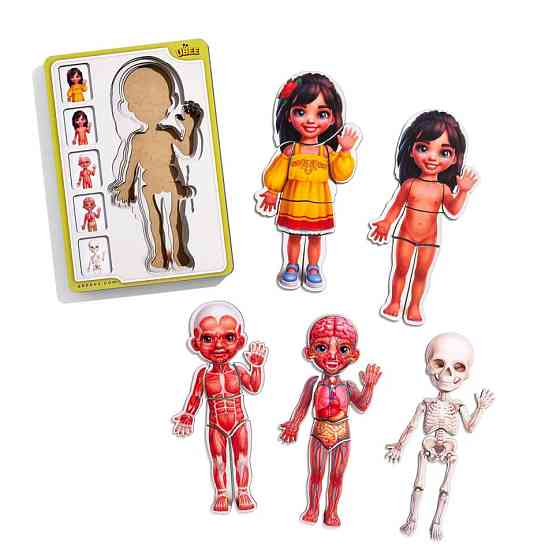 Дерев'яний пазл-вкладиш "Анатомія людини - дівчинка-2" (ПСД263) PSD263 будова тіла Вінниця
