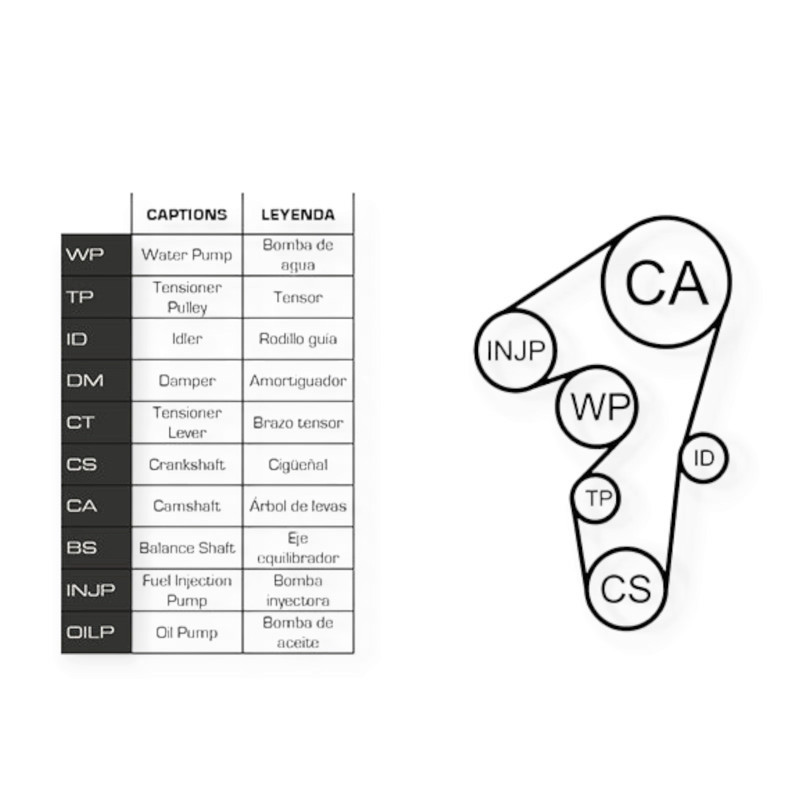Ремкомплект Fiat Doblo, Punto, Bravo 1.9, 2.4D 94- (ремень, ролики, помпа) - ГРМ Мукачево - изображение 1