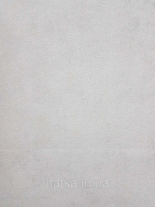 Шпалери метрові вінілові на флізеліні A.S.Creation Flowers Symphony 1.06x10 м під штукатурку світло-сірі 79071-2 Київ - фото 1