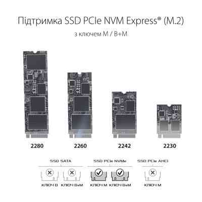 Кишеня зовнішня ASUS SSD M.2 PCIe NVMe STRIX ARION ESD-S1C/BLK/G/AS USB 3.1 Gen2 (ESD-S1C/BLK/G/AS) Вінниця