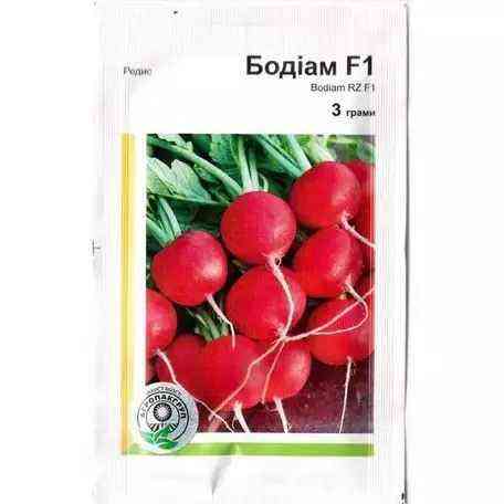 Семена Редиски Бодиам F1 3 г Rijk Zwaan Винница
