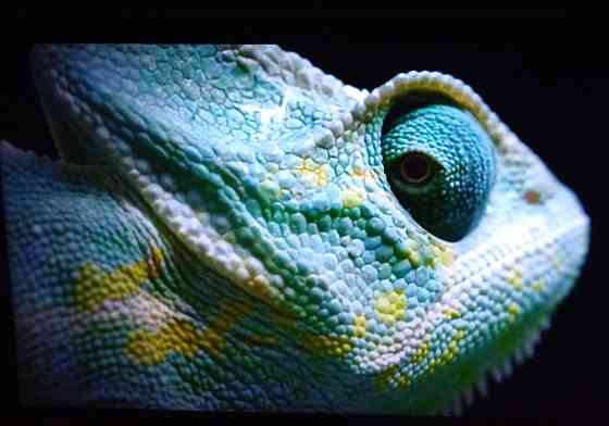 Телевизор: Loewe Connect 40 Full HD , 200Hz. Харьков