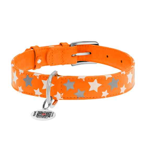 Нашийник для собак шкіряний WAUDOG Glamour з QR паспортом, візерунок "Зірочка", світлонакопичув Коломия