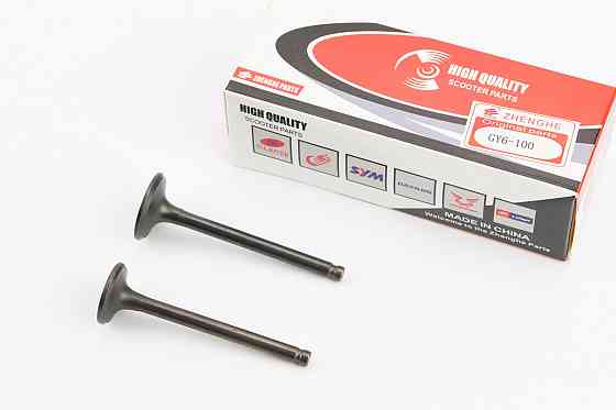 Клапан впускний, випускний (НЕМАГНІТний) к-кт ЗБІЛЬШЕНІ (d=20/23мм; L=65/66мм) Киев