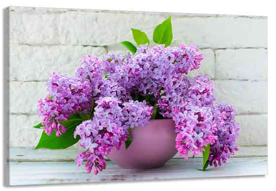 Картина полотно у вітальню / спальню     Бузок  MLP_238 ( 60х30см ) 80х160см Київ