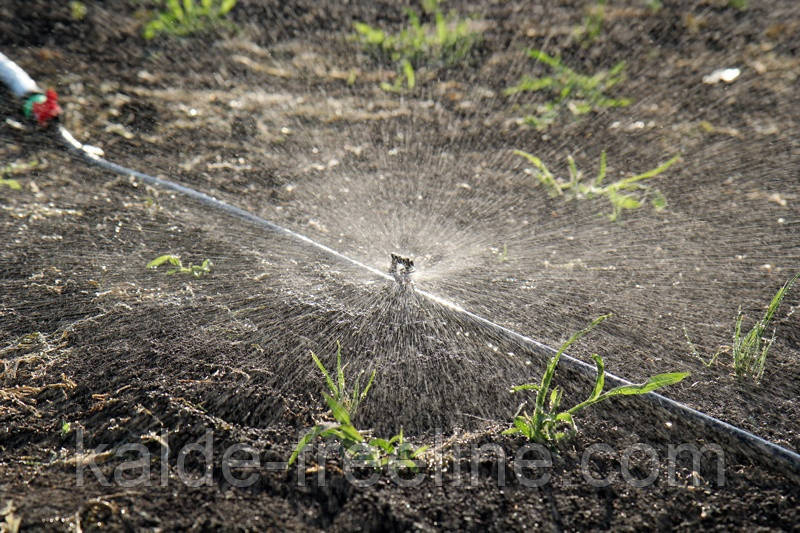 Крапельниця для поливу Presto-PS мікроджет Тиск (MJ-1511) Харьков - изображение 7