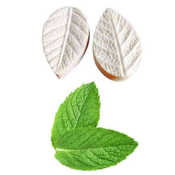 Силиконовый молд Листья мяты 40 на 65 мм белый Киев