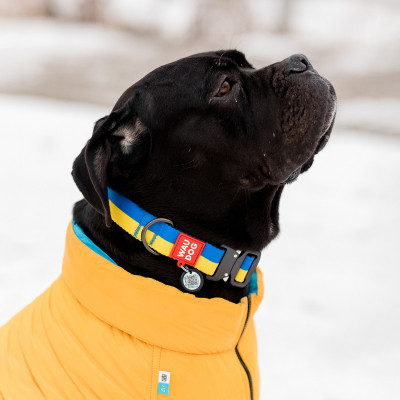 Ошейник для животных WAUDOG Nylon с QR паспортом Colors of freedom пластиковый фастекс S (4501-4020) Винница - изображение 7