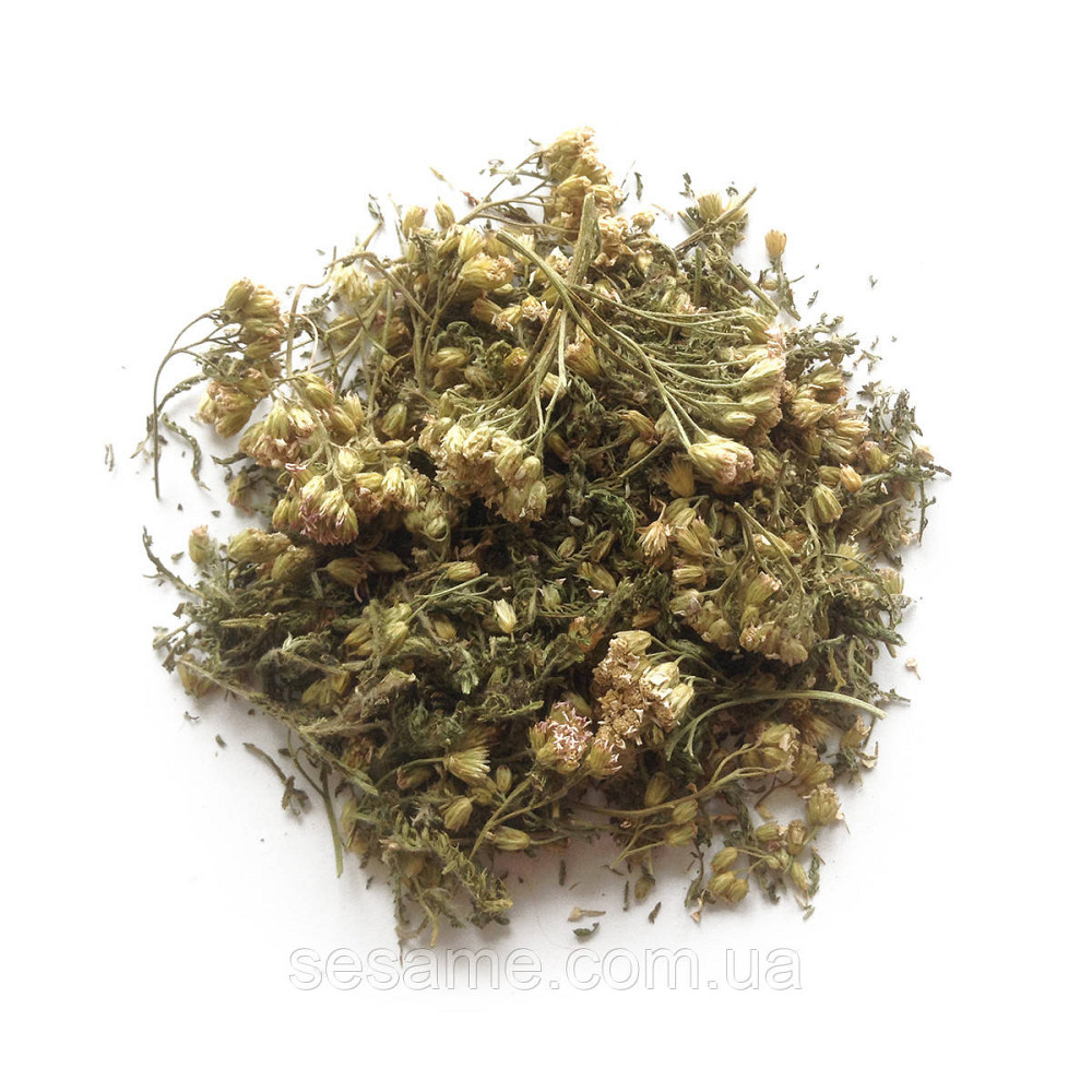 Тысячелистник обыкновенный трава, деревий (пак/50грамм) Харьков - изображение 1
