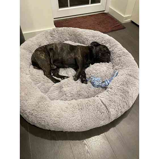Лежанка для кошек и собак «Ворс» L (60см), Сірий Киев