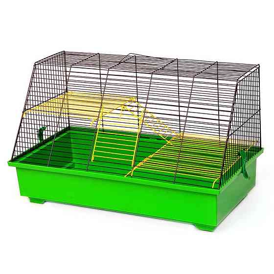 Клетка Щурик для декоративных грызунов средних размеров (57.5 х 30 х 31.5 см), Лори Киев