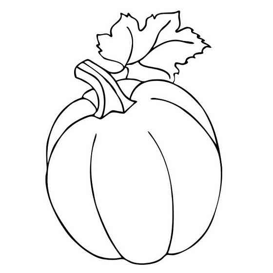 Большая книга раскрасок 