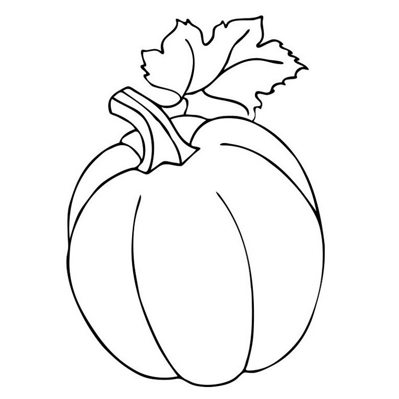 Большая книга раскрасок 