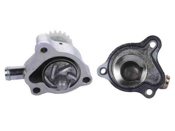 Помпа в зборі з корпусом та кришкою (ZS174MN-5) на бензиновий двигун CB300 Мукачево