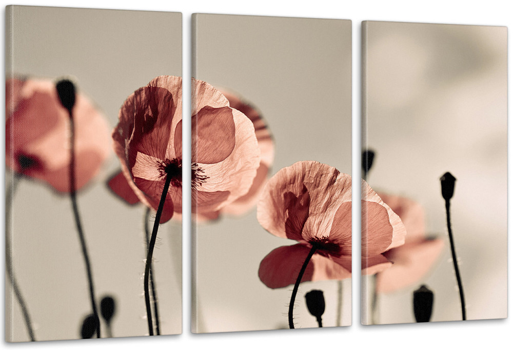 Модульна картина Квіти Art-45_3А Київ - фото 1