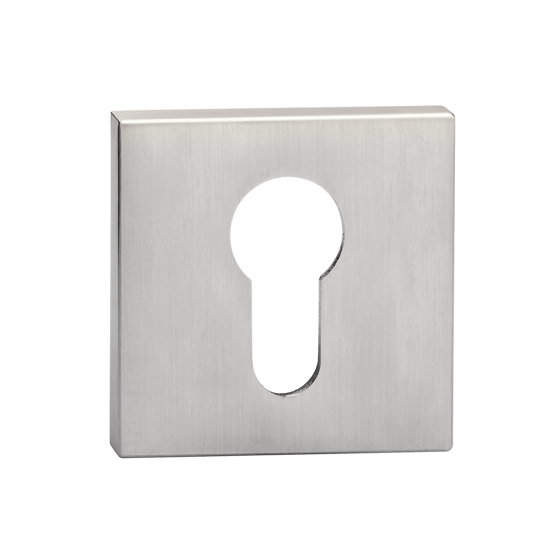 НАКЛАДКА ПІД ЦИЛІНДР E20 SC САТИН ХРОМ Київ