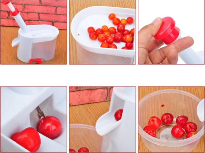 Отделитель косточек из вишни, черешни, маслин и оливок Helfer Hoff Cherry машинка для удаления косто Сумы - изображение 6