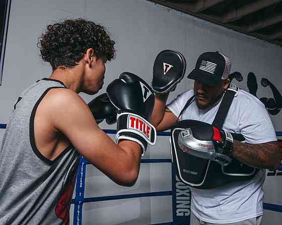 Лапи боксерські TITLE Boxing Aerovent Anarchy Punch Mitts Black/Silver Каменское