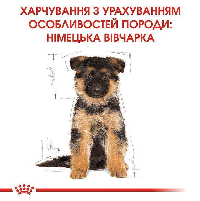 Корм для цуценят ROYAL CANIN GERMAN SHEPHERD PUPPY 3.0 кг Київ - фото 6