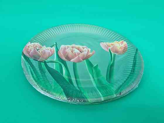 Тарілка паперова 23 см "No66 10 шт (1 пачка) Харків