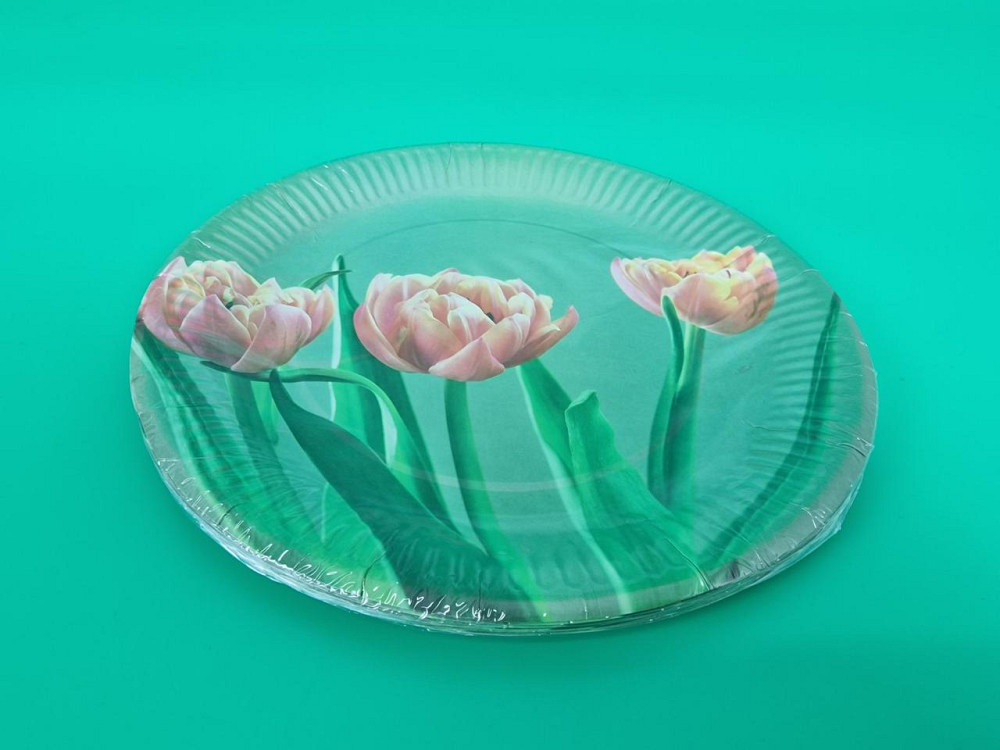 Тарелка бумажная 23см