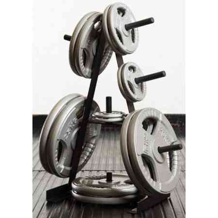 Стійка для дисків Toorx Rack 25 mm (RPD-25) Киев