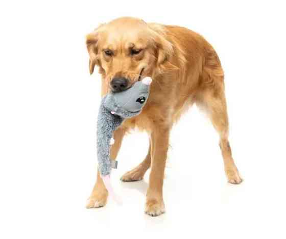 М'яка іграшка для собак FuzzYard Криска Луцк