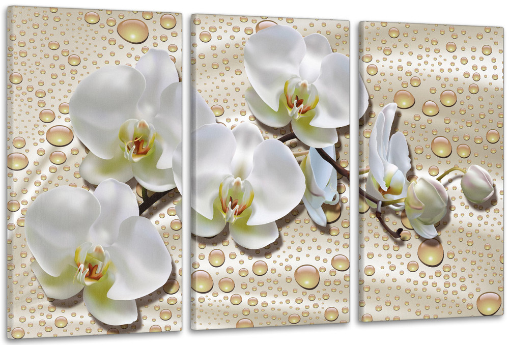 Модульная картина в гостиную / спальню   Біла Орхідея    ART-035_3A Киев - изображение 1