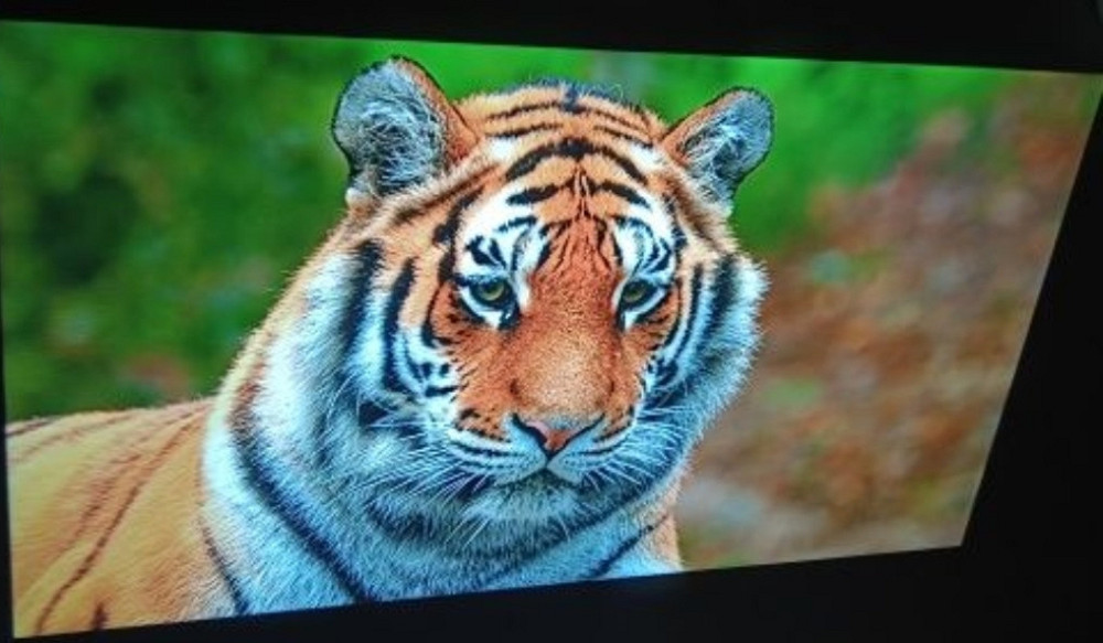 Проєктор Magcubic HY300 Харків - фото 4